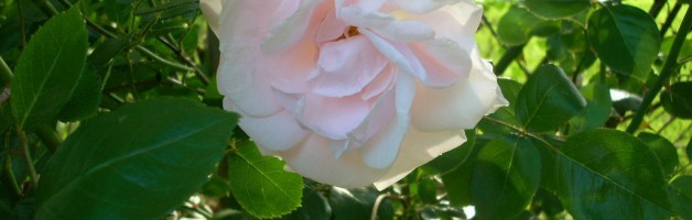 Ebracing Changes in Life - Winter