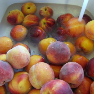 Photo Sunday - Fresh Peaches for Canning