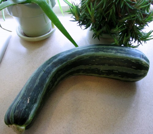 How to Freeze Zucchini for Baking