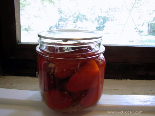 Home Canning: Little Red Peppers Stuffed with Cabbage