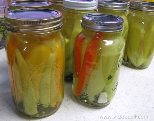 Home Canning, Food Preservation, Hot Pepper Spears